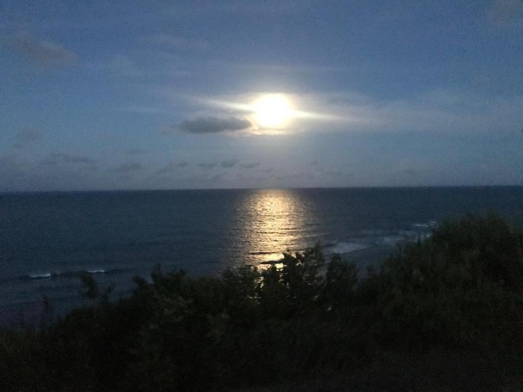 Pipatoa Bungalows Praia de Pipa Kültér fotó